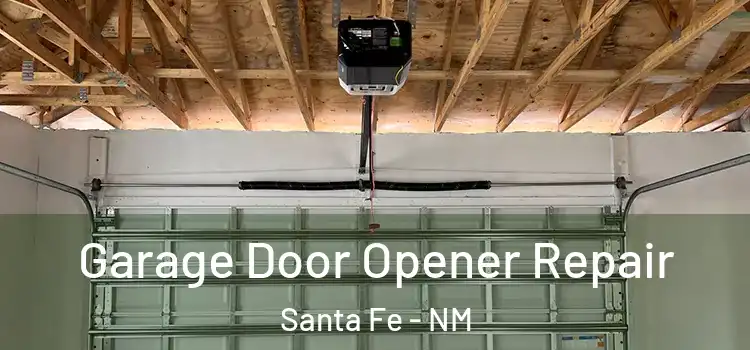  Garage Door Opener Repair Santa Fe - NM