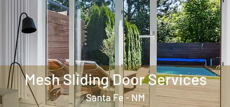  Mesh Sliding Door Services Santa Fe - NM